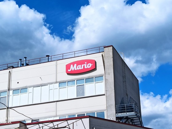 Mario fasades logo (2)